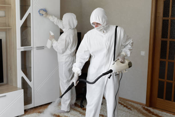 Best Basement Mold Remediation in Barboursville, WV